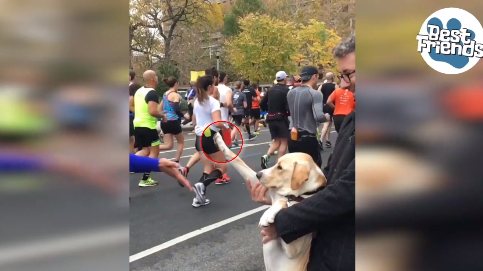 Video Seht hier, wie herzallerliebst dieser Hund die Marathonläufer