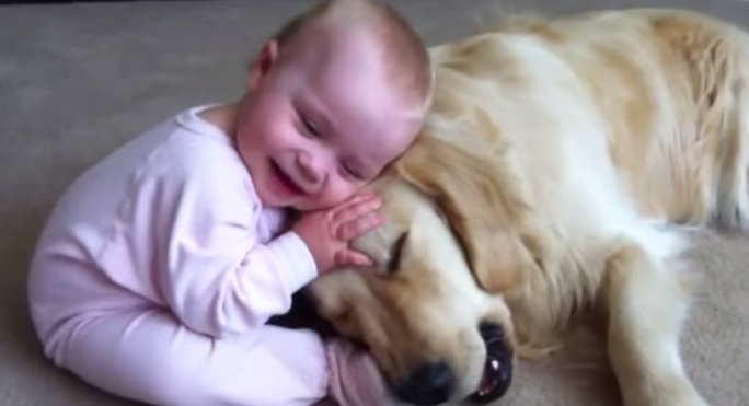 Dieses Baby spielt mit einem sehr geduldigen Hund. Sie werden