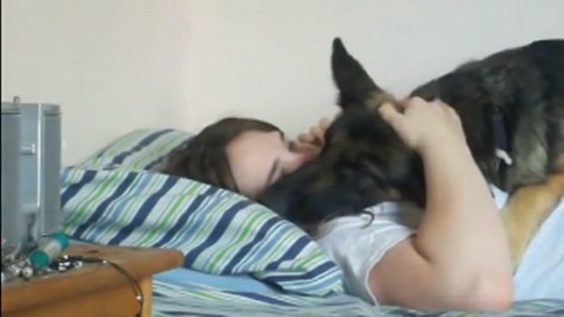 Frau wird vom hund gefickt 🔥 Hund Leckt Muschi Von Frau - Yo