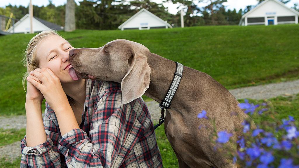 Weil ihr Hund sie abschleckt Frau verliert Arme und Beine